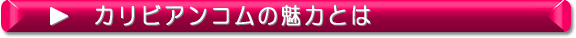 ����ӥ��󥳥��̥�ϤȤϡ�